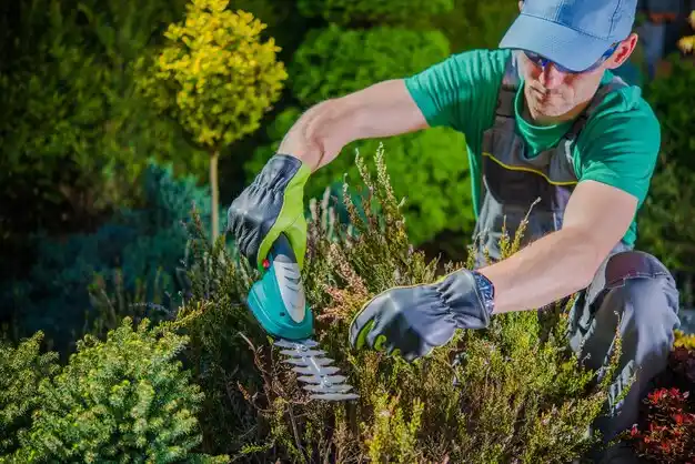 landscaping services Pierre Part